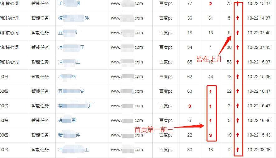 用户网站关键词快速排名效果